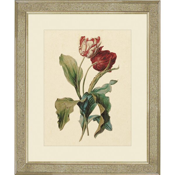 Brookpace Fine Art 'Tulips III' Framed Graphic Art on